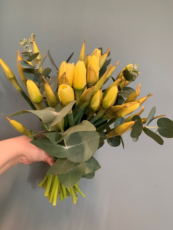 Easter bouquet - Daffodil