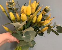Easter bouquet - Daffodil