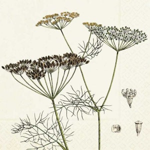 Sköna Ting - Servett - Dill