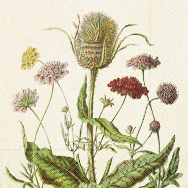 Servett - Blomsteräng