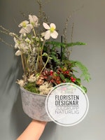 Floristens val - Julgrupp - Naturlig