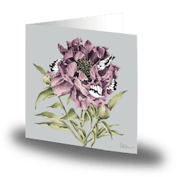 Cards by Jojo - Butterfly Peony - Litet kort