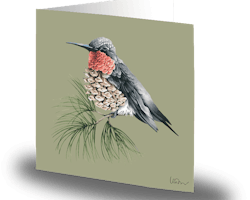 Cards by Jojo - Nordic Hummingbird - Litet kort