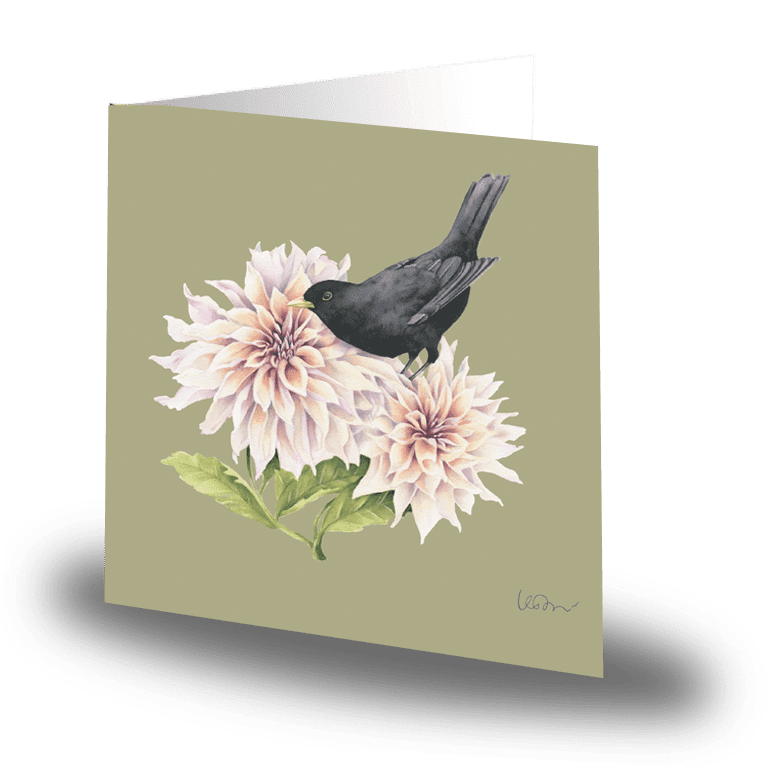 Cards by Jojo - Garden Blackbird - Litet kort