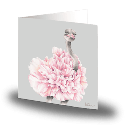 Cards by Jojo - Prima Ostrich - Litet kort