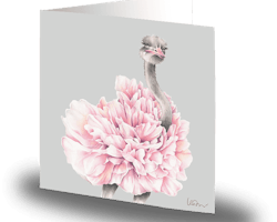 Cards by Jojo - Prima Ostrich - Litet kort