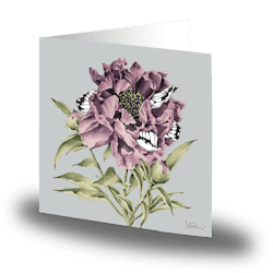 Cards by Jojo - Butterfly Peony  - Stort kort