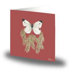 Cards by Jojo - Winter Butterfly  - Stort kort