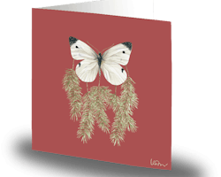 Cards by Jojo - Winter Butterfly  - Stort kort