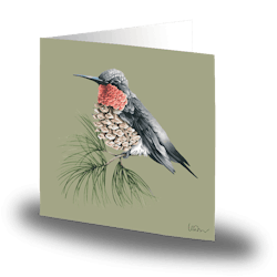 Cards by Jojo - Nordic Hummingbird  - Stort kort