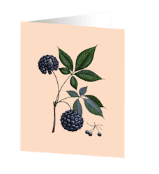 Cards by Jojo - Siberian Ginseng - Medium kort