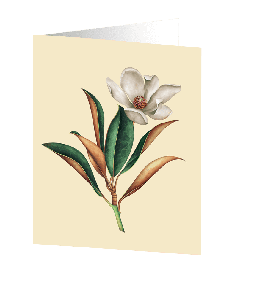 Cards by Jojo - Magnolia - Medium kort