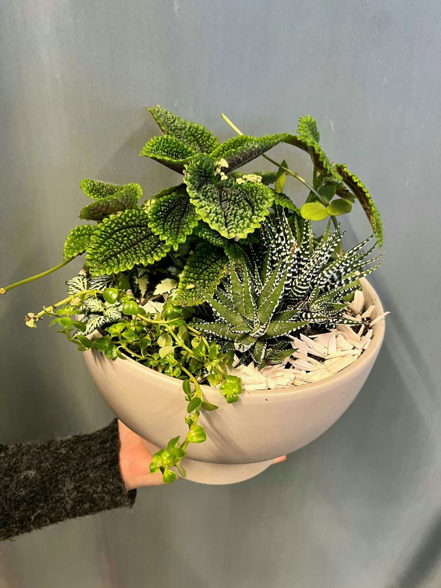Floristen designar - Gröna växter