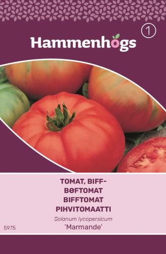 Tomat, Beff- -Marmande