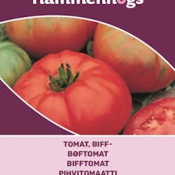 Tomat, Beff- -Marmande
