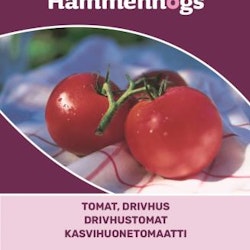 Tomat, Drivhus - Harzfeurer F1