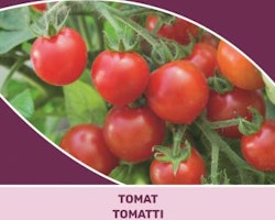 Tomat - Gardener´s Delight