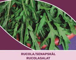 Rucola/senapskål - Diplotaxis tenuifalia