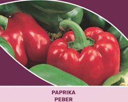 Paprika - Californua Wonder