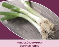 Purjolök, Sommar - Bulgaarse Reuzen