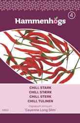 Chili, Stark - Cayenne long slim