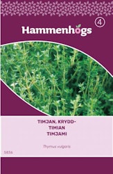 Timjan, Krydd - Thymus vulgaris
