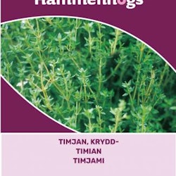 Timjan, Krydd - Thymus vulgaris
