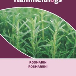 Rosmarin - Rosmarinus offcinallis