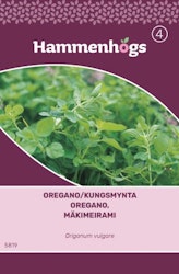 Oregano/Kungsmynta - Origanum vulgare