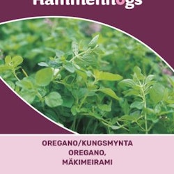 Oregano/Kungsmynta - Origanum vulgare