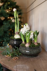 Kay planting bowl