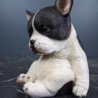 Sitting puppy - Fralla