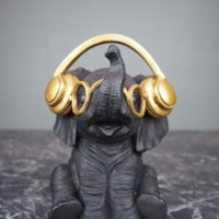 Rock it like an Elephant