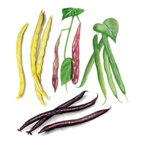 Låg Mix
