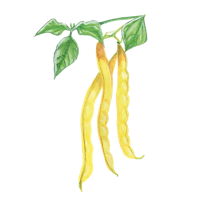 Kopia Låg Mix