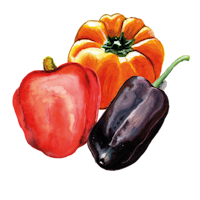 Paprikor mix