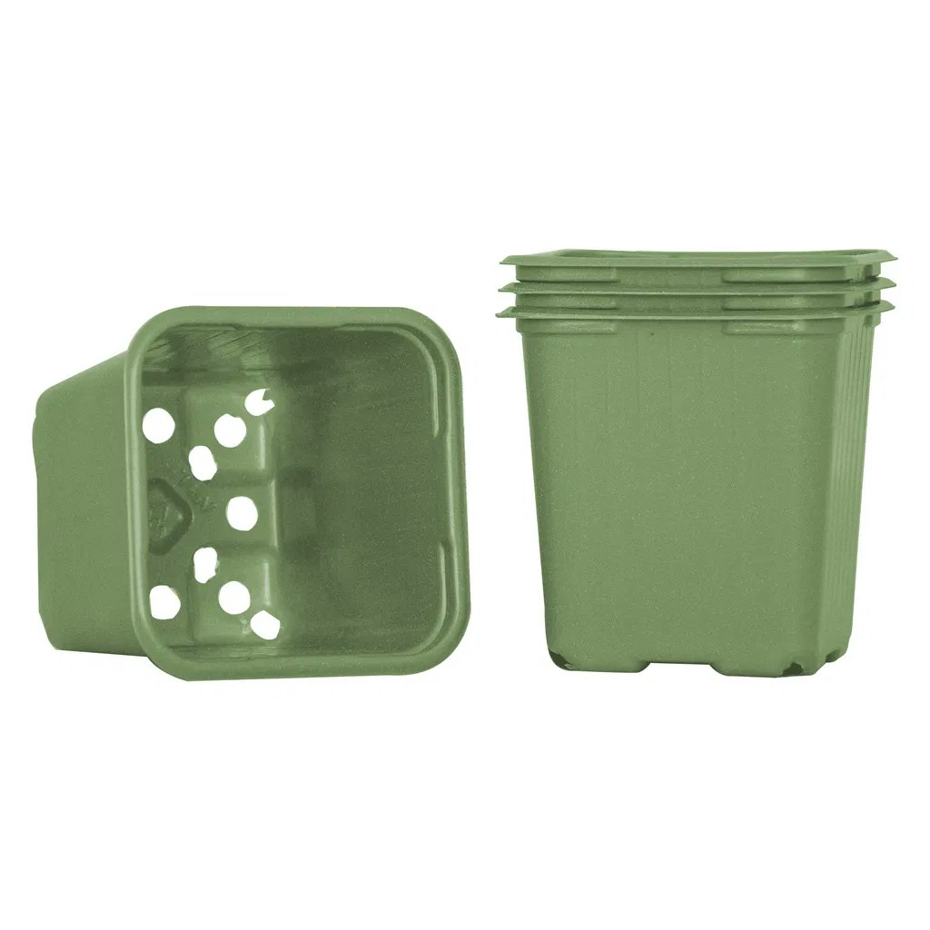 Odlingskruka 8cm grön