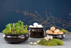Vaktelägg Natur