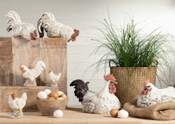 Hönsägg bruna