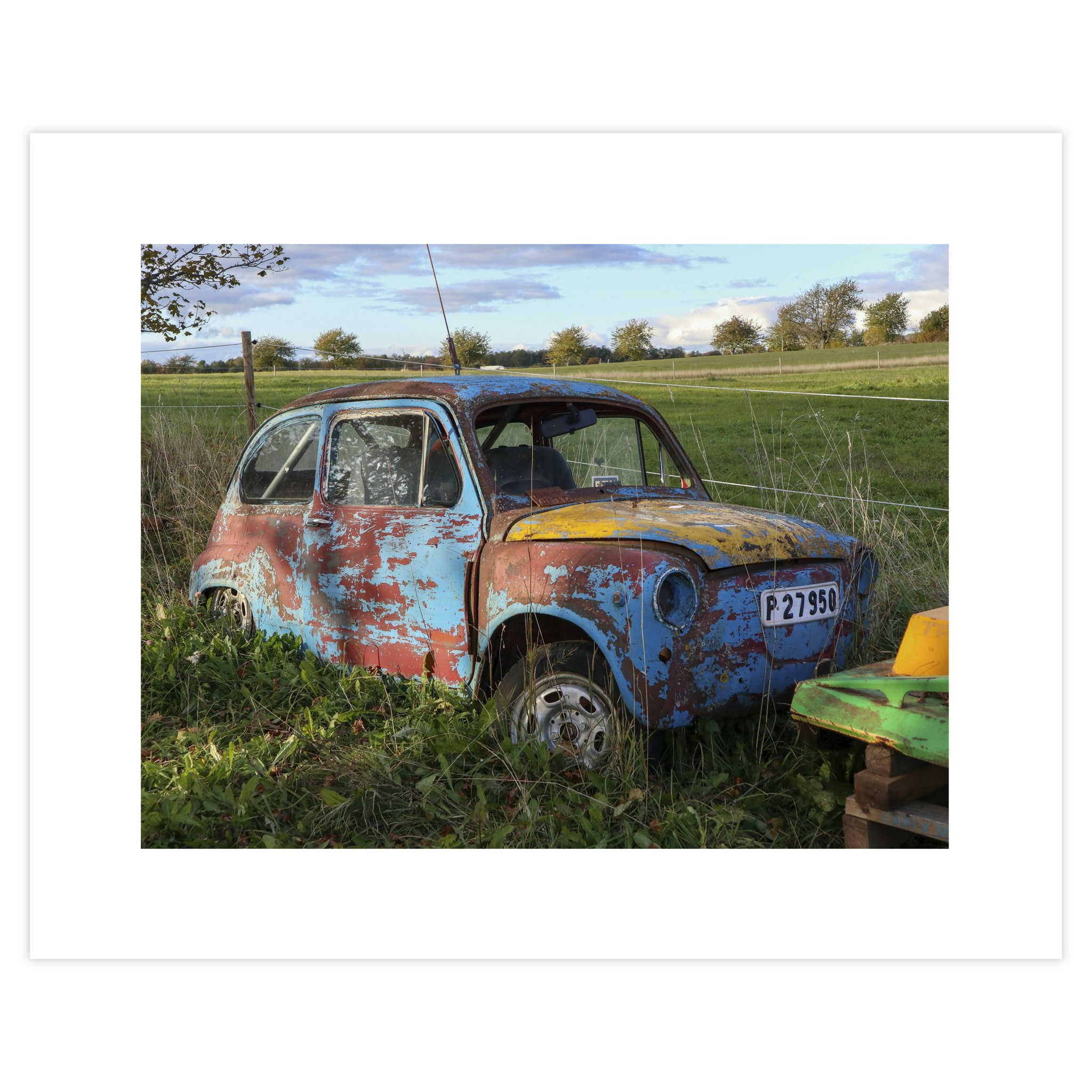 Foto Fiat i Gräset 50x40 utan ram