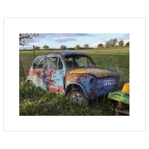 Foto Fiat i Gräset 50x40