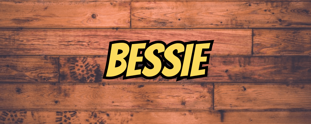 Bessie - Dippy.no