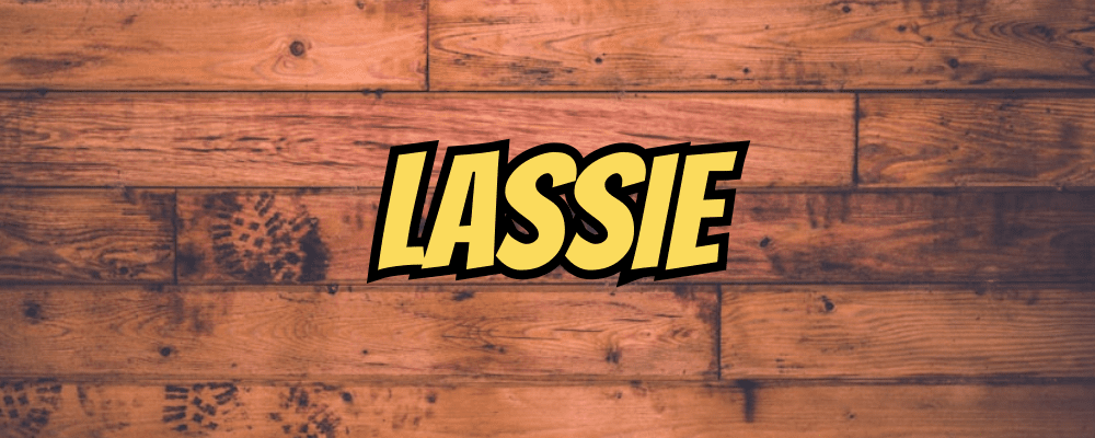 Lassie - Dippy.no