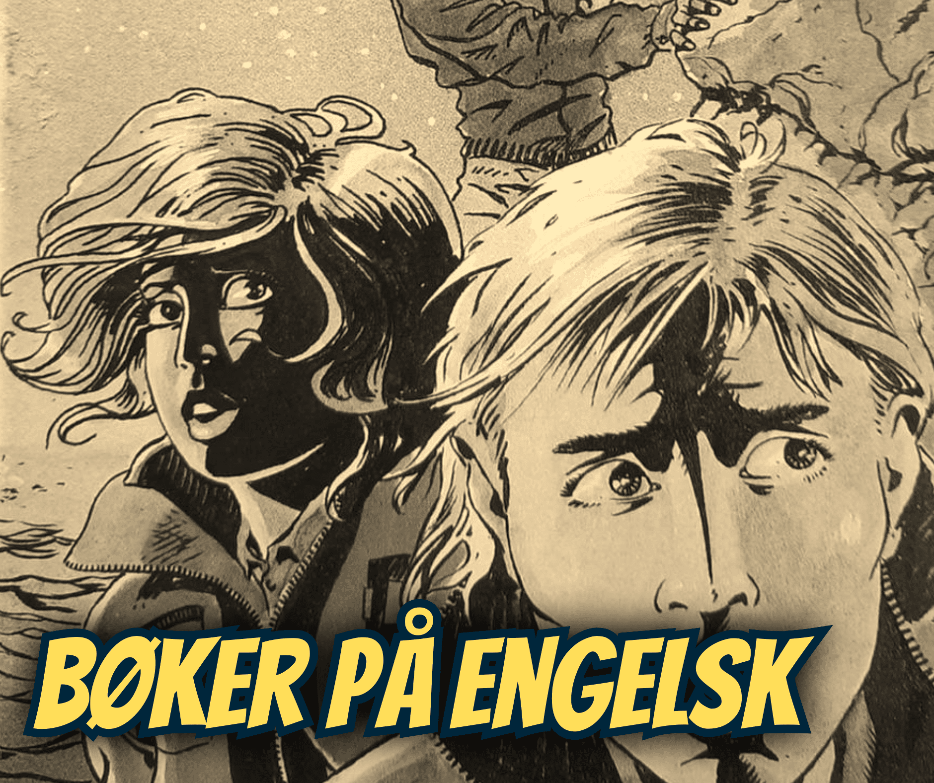Bøker på engelsk - Dippy.no