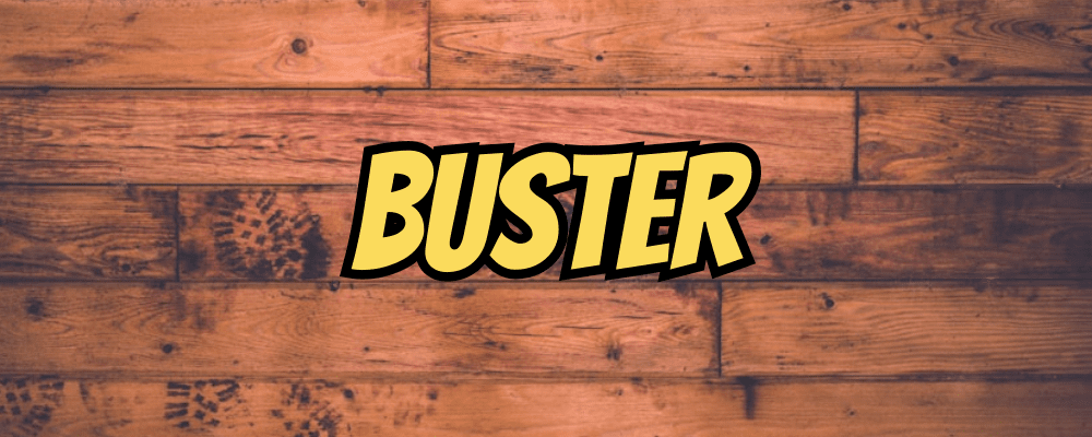 Buster - Dippy.no