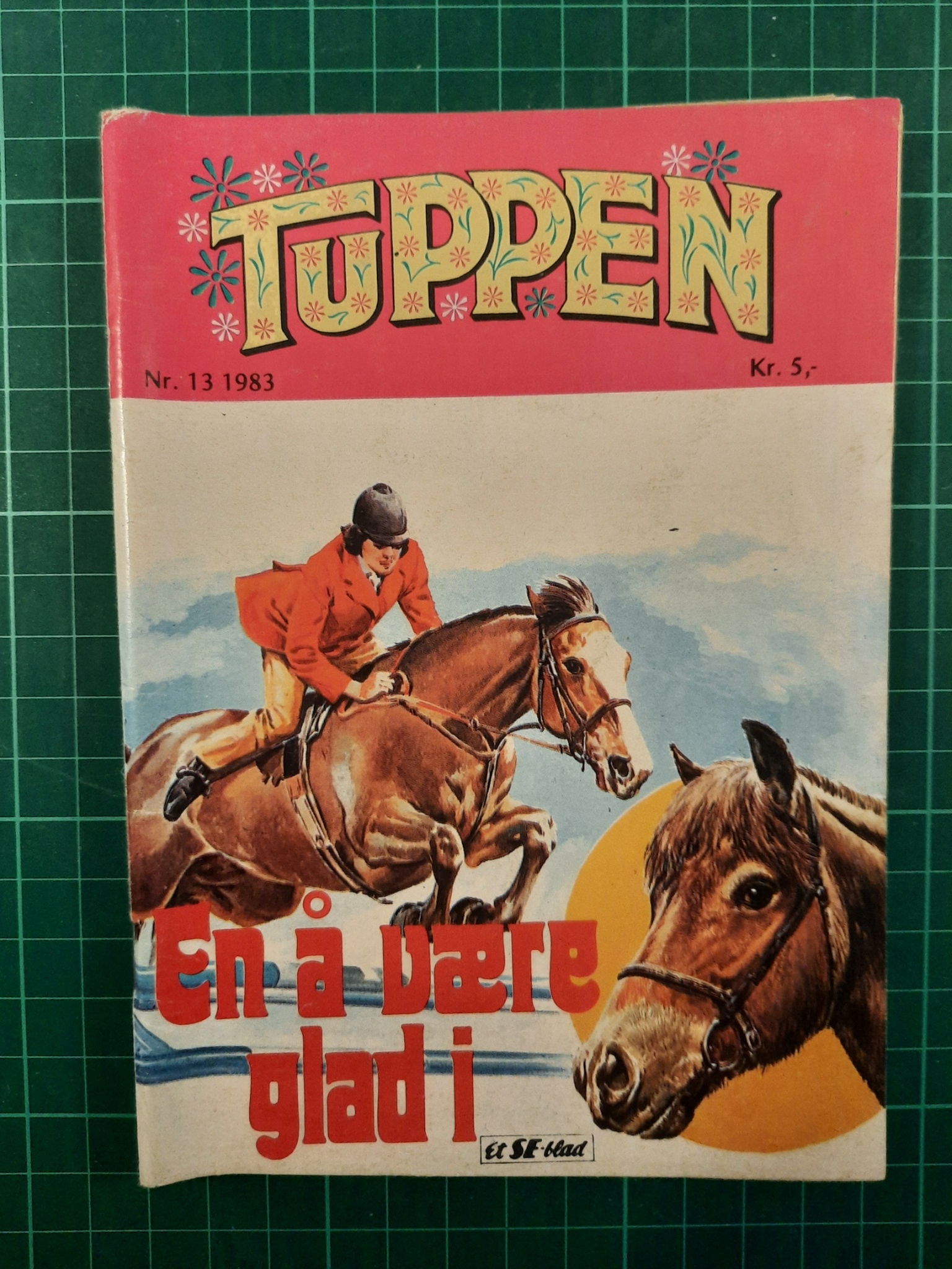 Tuppen 1983 - 13