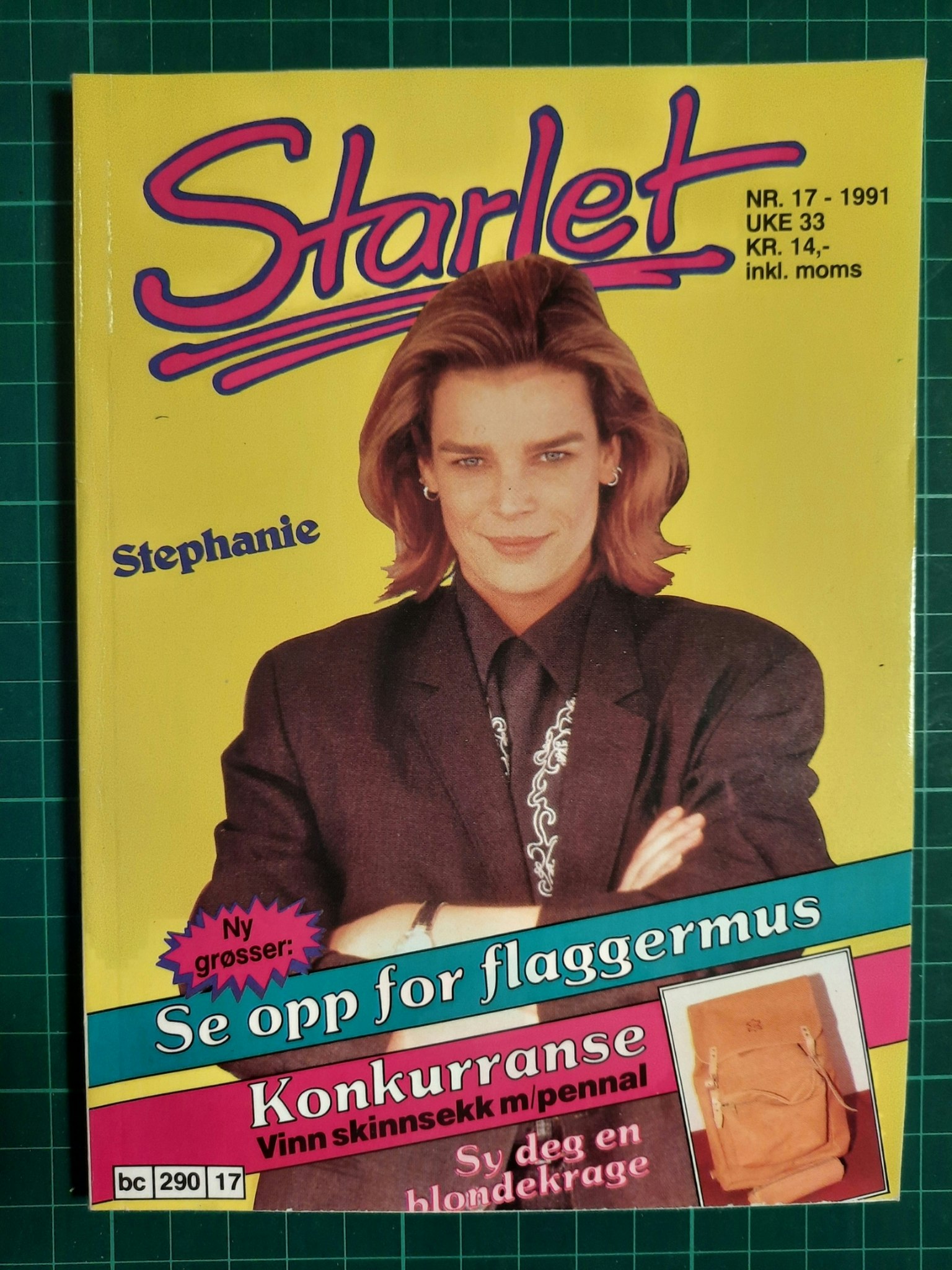Starlet 1991 - 17