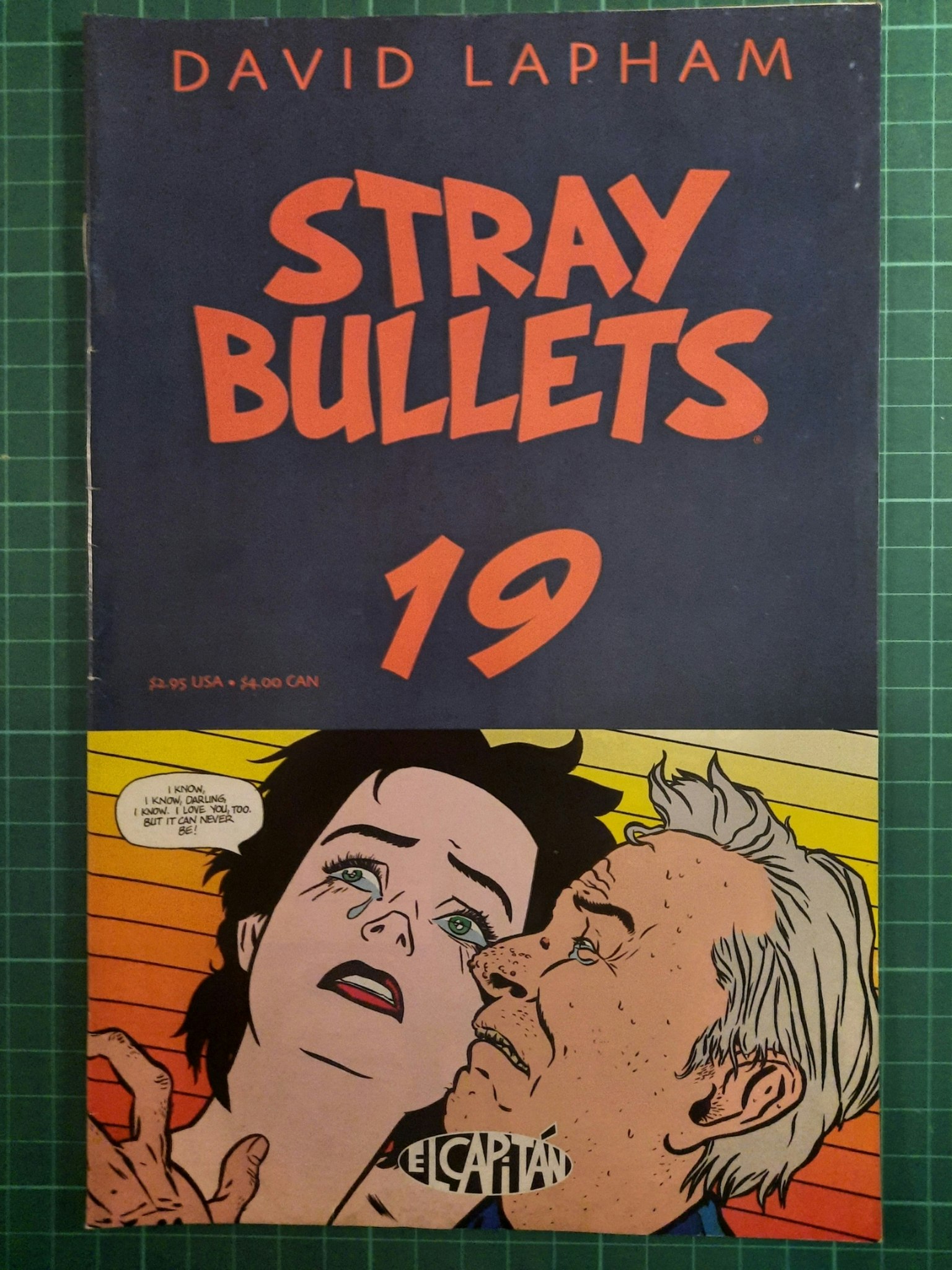 Stray bullets #19