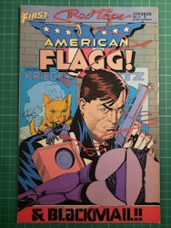 American flagg! #21