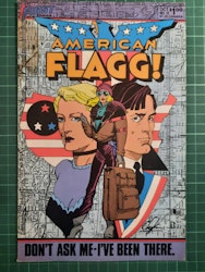 American flagg! #13